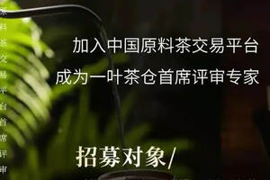 中国茶市电子商务平台