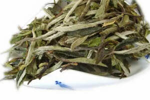茶理王|白茶的功能性成分及其作用