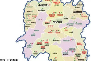 “五彩湘茶”区域公共品牌地图首发——拼图寻宝引爆全场