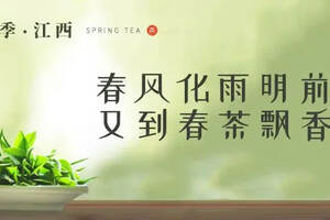 春茶季 | 春风化雨明前茶 又到春茶飘香时（五）