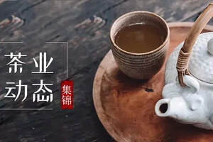 赣茶·动态 | 江西茶产业发展座谈会在婺源召开