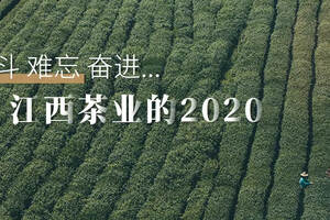 战斗、难忘、奋进｜江西茶业的2020