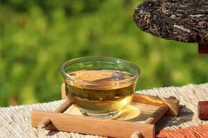 什么是普洱茶的“单株”？