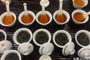 如何喝懂武夷岩茶？七个标准要素，带你看懂，喝懂岩茶