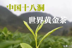“十八洞黄金茶”：中国十八洞 世界黄金茶