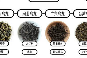 六大茶类里明明没有乌龙茶，为什么大家却叫青茶为乌龙茶？