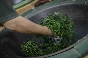 炒青绿茶怎么泡去农药