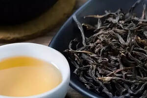 青茶 | 广东乌龙——乌岽单丛 凤凰单丛的茶发源地中心