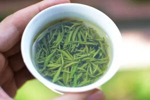 每一杯信阳毛尖都是来自茶农采摘不易，且喝且珍惜