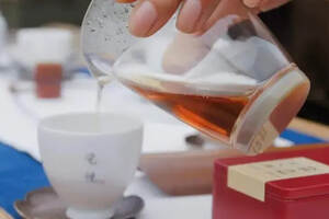 青茶 | 简单易懂的乌龙茶冲泡建议