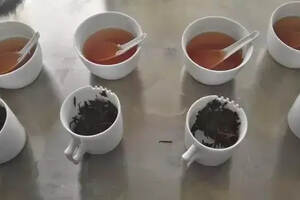 茶季开始，茶样纷至沓来！