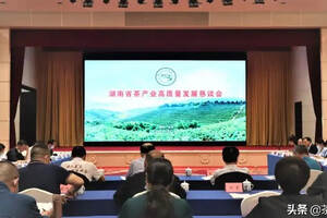 湖南省茶产业高质量发展恳谈会顺利举行
