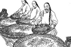 唐朝人民是如何采茶、制茶的？看看茶圣陆羽是怎么说的！