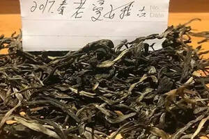 《老徐鉴茶》第三十期：2017春老曼娥古树茶品鉴报告