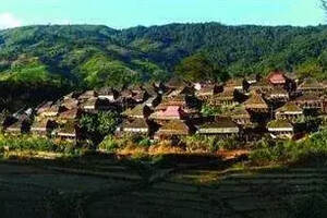哪些条件决定了勐海可以成为普洱茶第一县？
