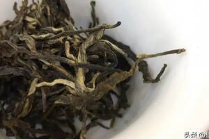 什么是普洱茶的“普洱味”？
