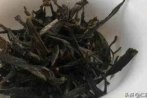 中药药性的判断与陆羽找茶的秘密，它与喝懂普洱茶有联系么？