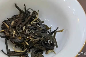 茶叶的“陆羽标准”与“科学标准”的区别是什么？
