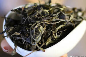 喝惯了普洱茶的老茶友，为什么就很少再喝其他茶了呢？