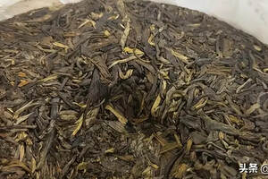 怎样从事普洱茶行业算是专业人才？只喝老茶的茶人是完整的么？
