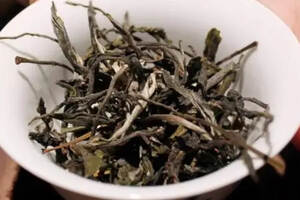 苦尽甘来的老曼峨古树茶！为何能够在勐海布朗山如此特别？
