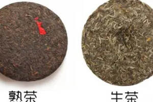 详解云南普洱生茶与熟茶的不同，如：加工工艺、品质