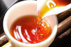 尿酸高能不能喝普洱熟茶