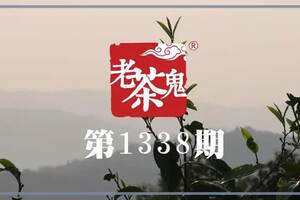 茶艺师大赛茶艺表演视频