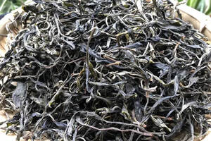 《老徐鉴茶》第334期：2020同庆河树龄30~40年间的头春茶品鉴报告