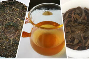茶友聊茶12期：果香浓郁、茶汤柔顺——拔玛，南糯山最好的茶
