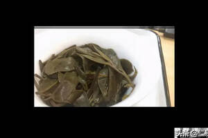普洱茶定律探秘3200年凤庆古树的香气滋味