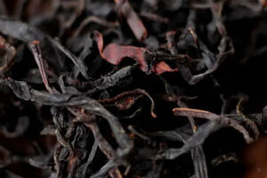 红茶当中的黑美人，源自野生——古树红茶