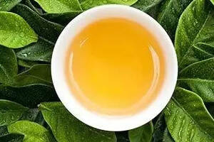 解密茶叶中的重要元素——茶多酚