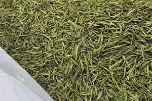 绿茶为什么不适合长期保存？保存绿茶有些什么注意事项？
