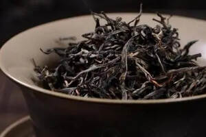 什么样的茶树才算是古树普洱茶？你喝古树普洱茶是真的吗？