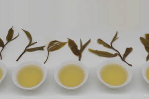 仁易说茶，简单介绍影响身体的茶指标与喝普洱茶的方法