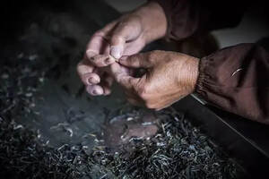 普洱茶厂必不可少一个机器，安全卫生的普洱茶由它而始