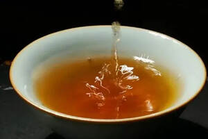 凤凰山单丛茶的生长