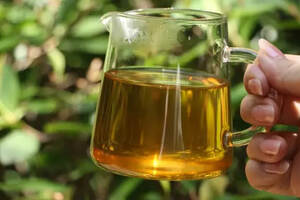 普洱茶是年份越久越好喝