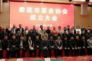 娄底市茶业协会举行成立大会
中国工程院院士刘仲华出席并讲话