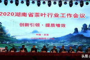 2020湖南省茶叶行业工作会议在吉首举行