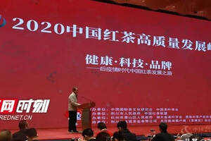 “湖南红茶”亮相中国红茶高质量发展峰会