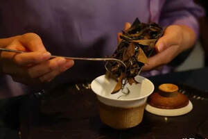 茶知识·白茶是怎样炼成的（工艺篇）