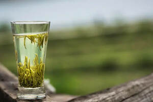 谁说“冬不饮绿茶”？一杯绿茶让人闻到春天的气息