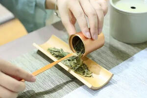 晒青绿茶的代表名茶