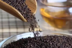 虫茶是怎么制造的