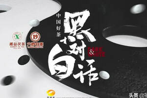 《中国好茶 黑白对话》 吹响茶行业融合创新的号角