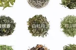 茶文化知识视频