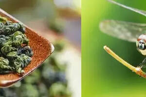蜻蜓头蛤蟆背蜜蜂腿泥鳅条，茶叶中还有哪些形象的比喻？