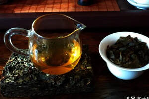 选择合适的“口粮茶”「大臻普洱茶堂12」